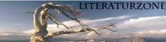 literaturzone.org